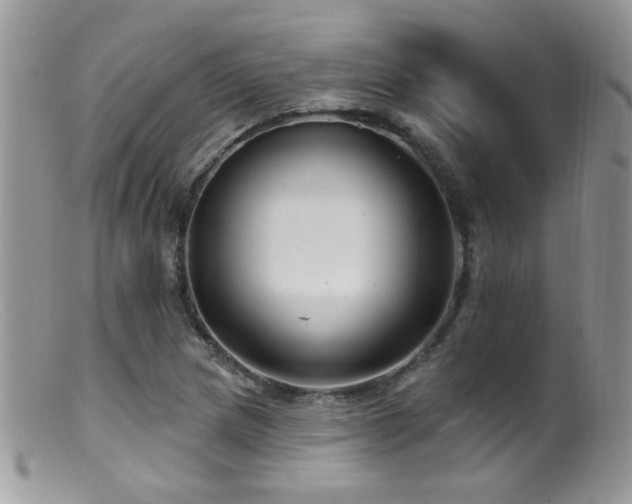 X0000099521217200805151516