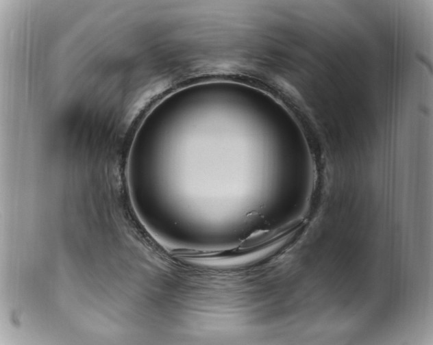 X0000099521218200805151516