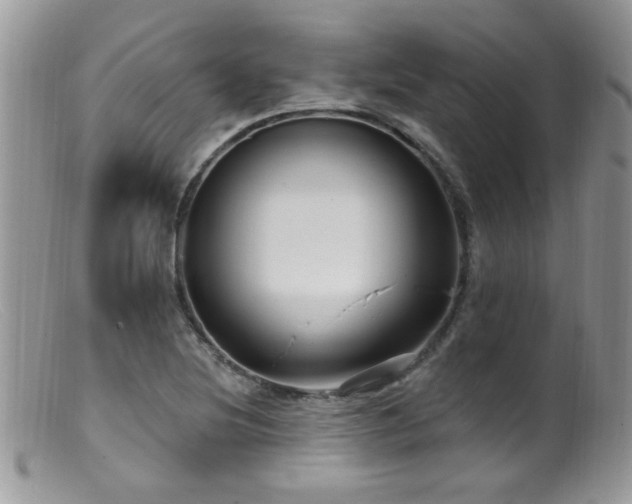 X0000099521220200805151516