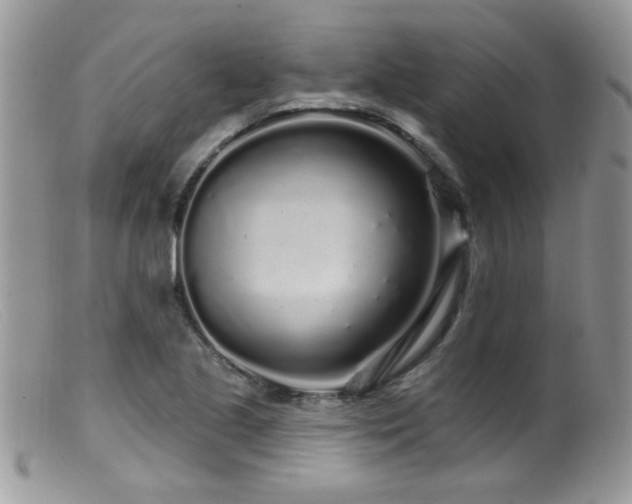 X0000099521221200805151516