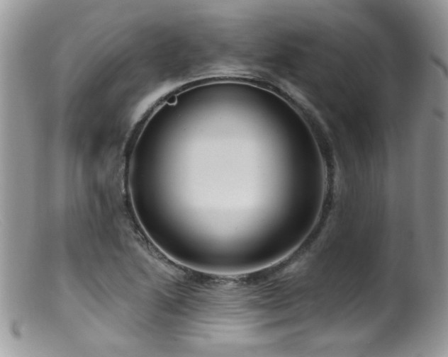 X0000099521222200805151516