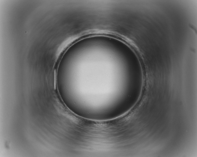 X0000099521223200805151516
