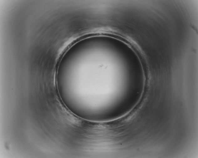 X0000099521224200805151516