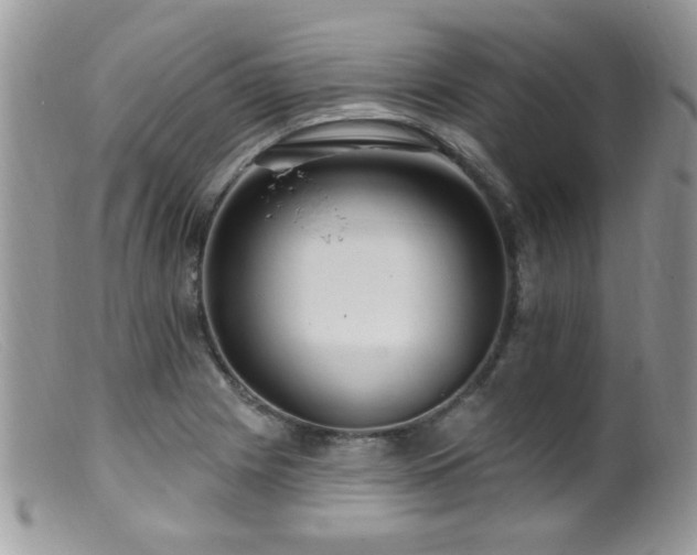X0000099521225200805151516