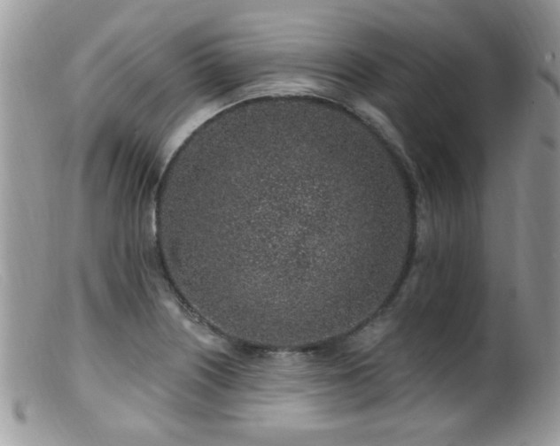 X0000099521226200805151516