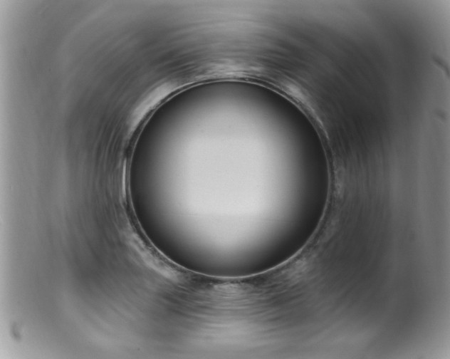 X0000099521227200805151516