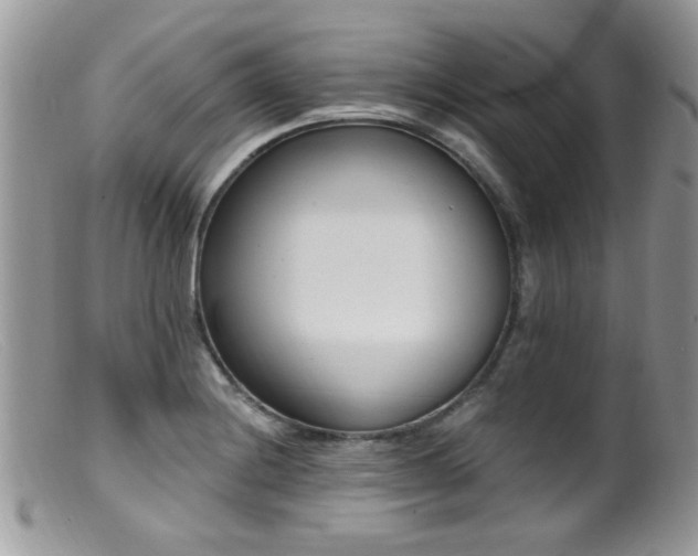 X0000099521228200805151516