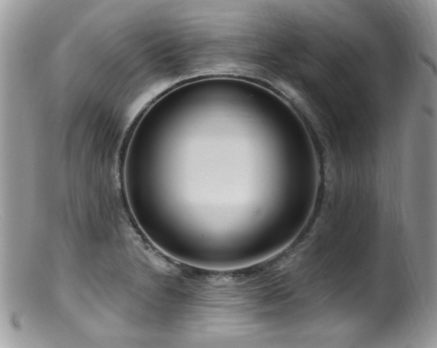 X0000099521230200805151516
