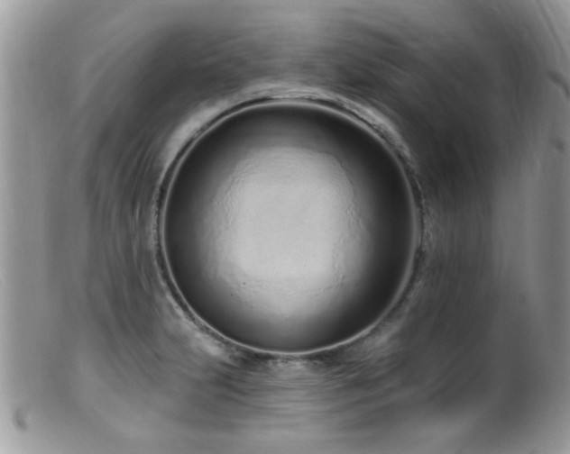 X0000099521231200805151516