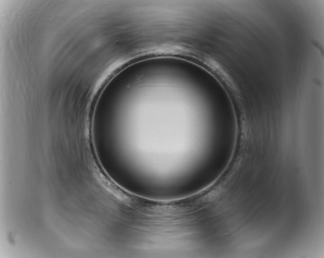 X0000099521232200805151516