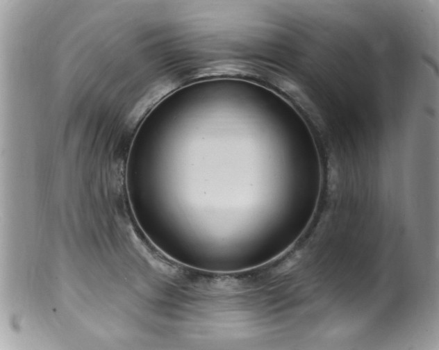 X0000099521233200805151516