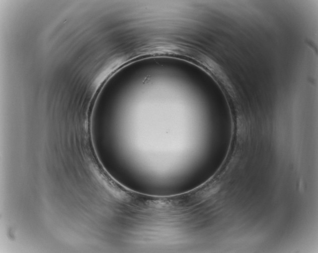 X0000099521234200805151516