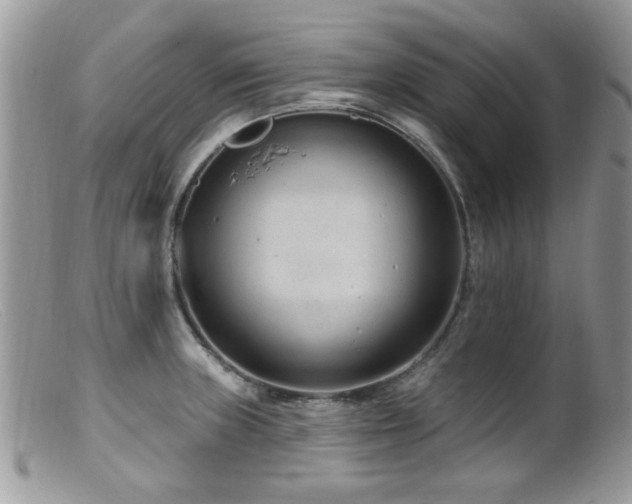 X0000099521235200805151516