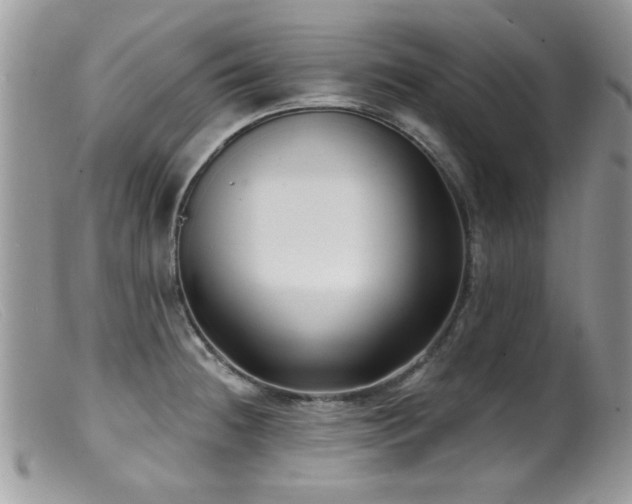 X0000099521236200805151516