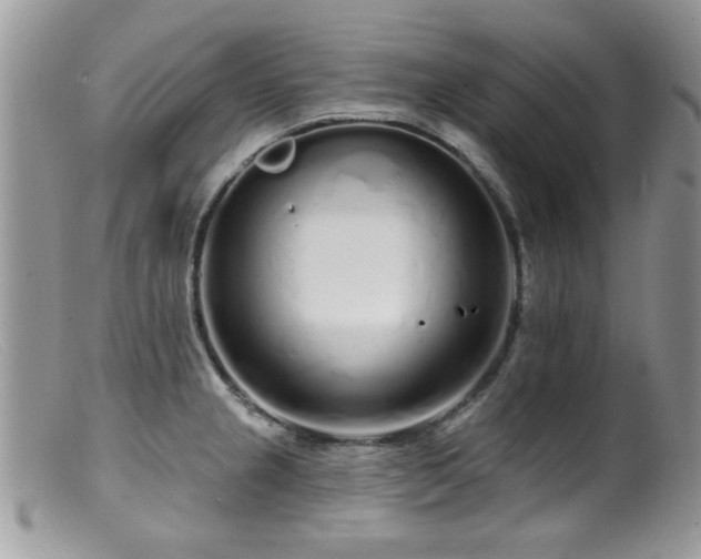 X0000099521237200805151516