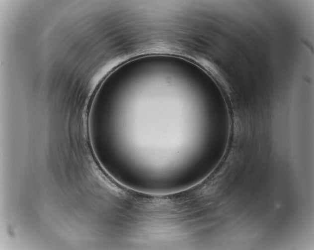 X0000099521238200805151516