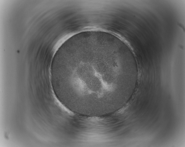 X0000099521239200805151516