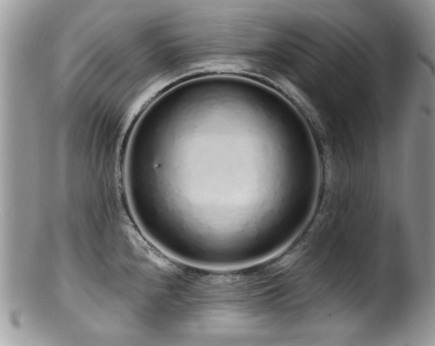 X0000099521240200805151516