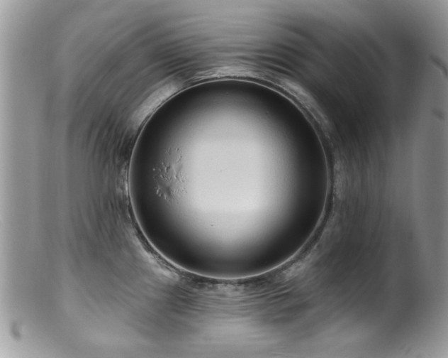 X0000099521241200805151516
