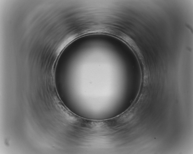X0000099521242200805151516