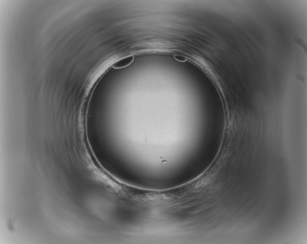 X0000099521243200805151516