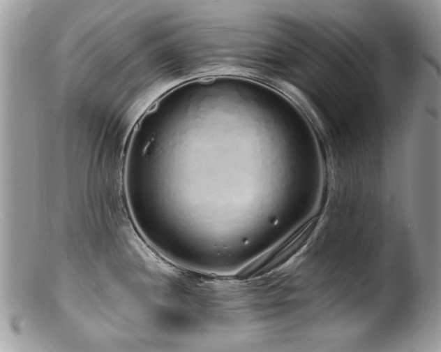 X0000099521244200805151516