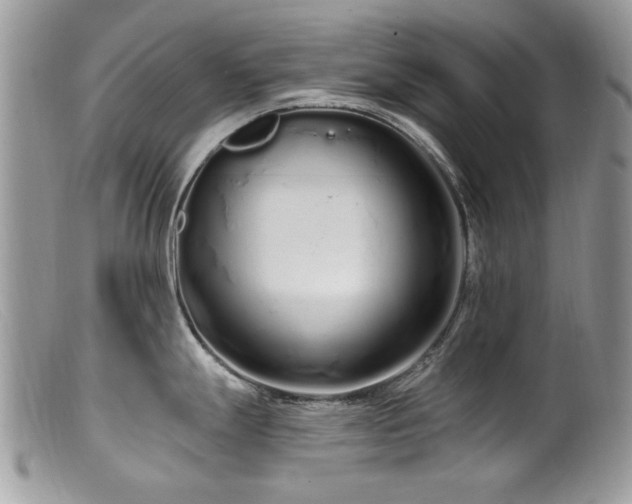 X0000099521247200805151517