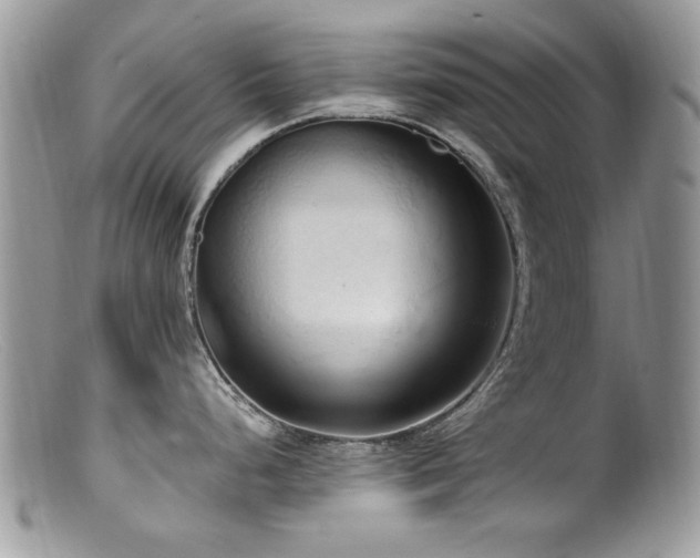 X0000099521248200805151517