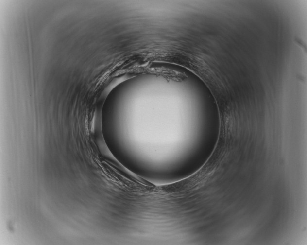 X0000099521250200805151516