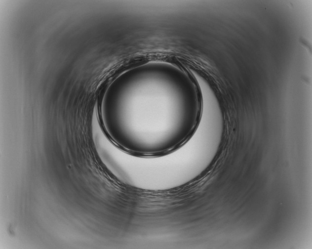 X0000099521252200805151516