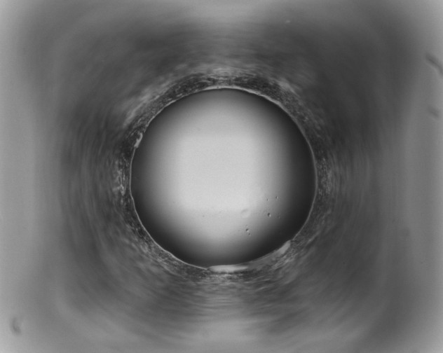 X0000099521253200805151516