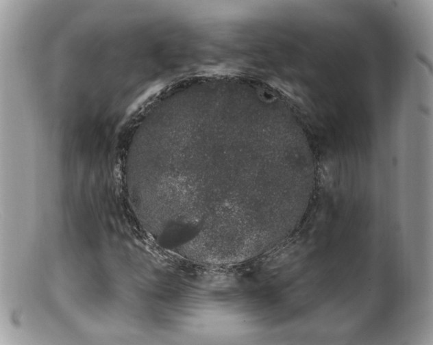 X0000099521254200805151516