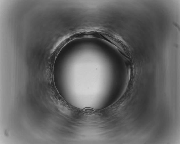 X0000099521256200805151516