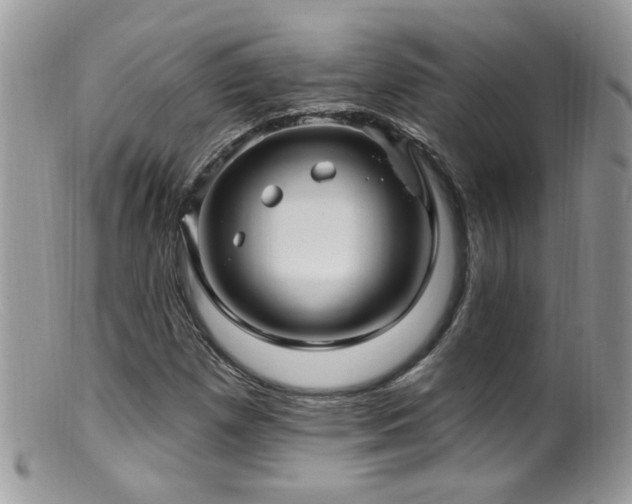 X0000099521257200805151516