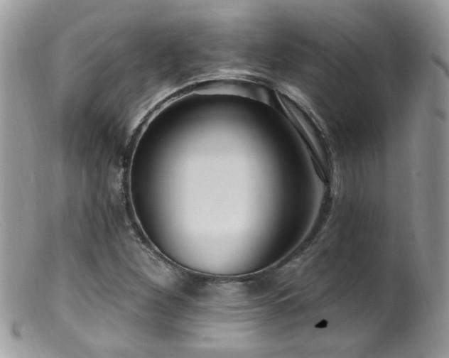 X0000099521260200805151516