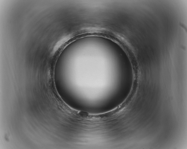 X0000099521261200805151516
