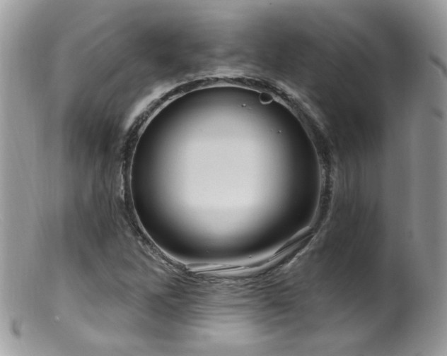 X0000099521262200805151516