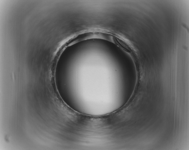 X0000099521264200805151516