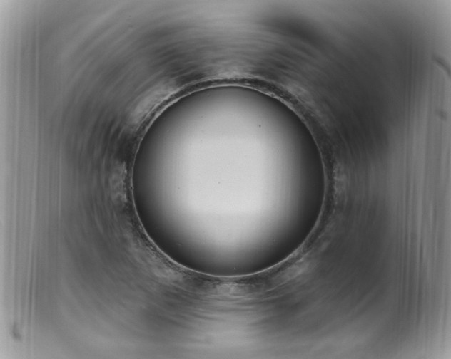 X0000099521265200805151516
