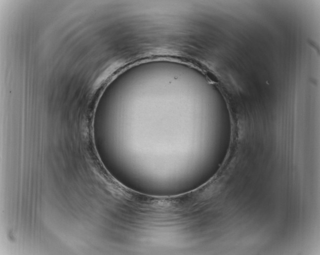X0000099521266200805151516