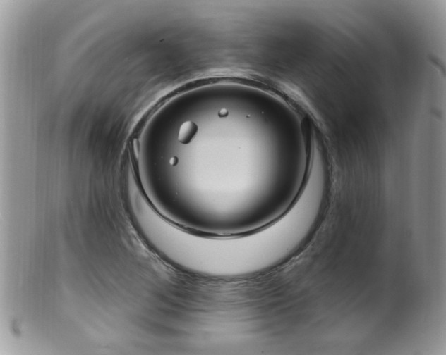 X0000099521268200805151516