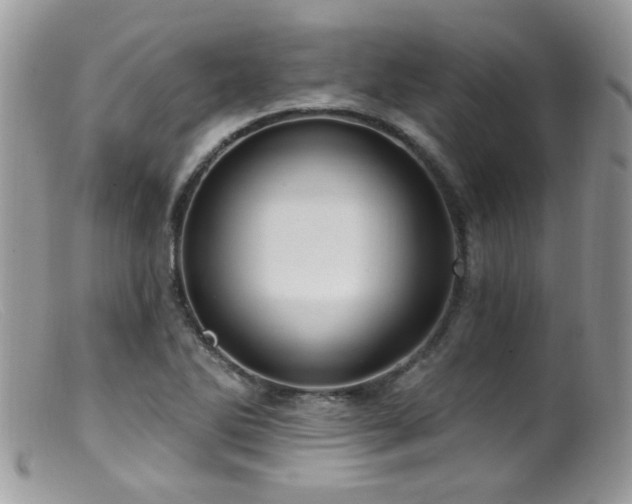 X0000099521270200805151516