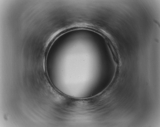 X0000099521272200805151516