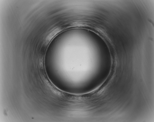 X0000099521273200805151515
