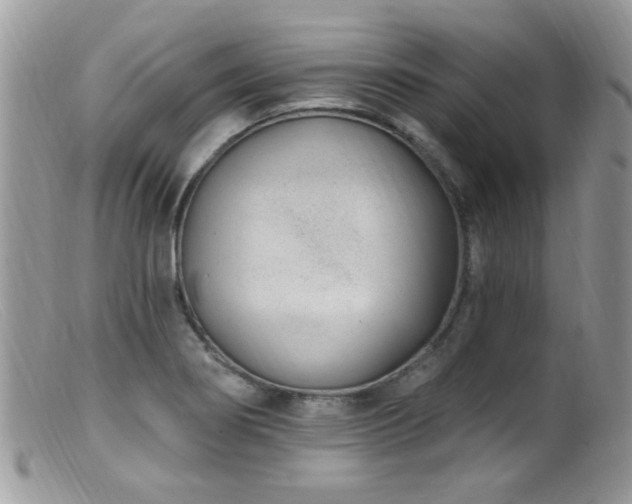 X0000099521274200805151515