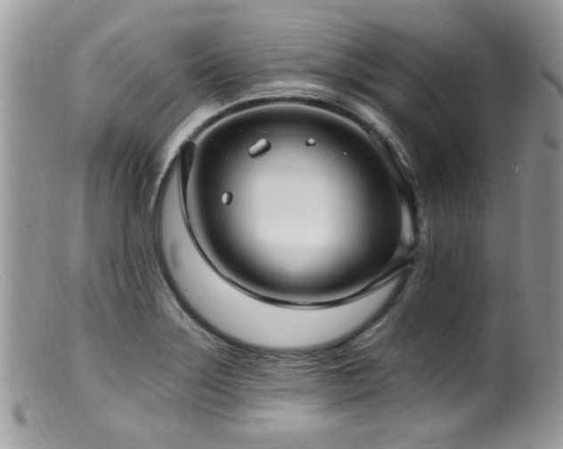 X0000099521275200805151515