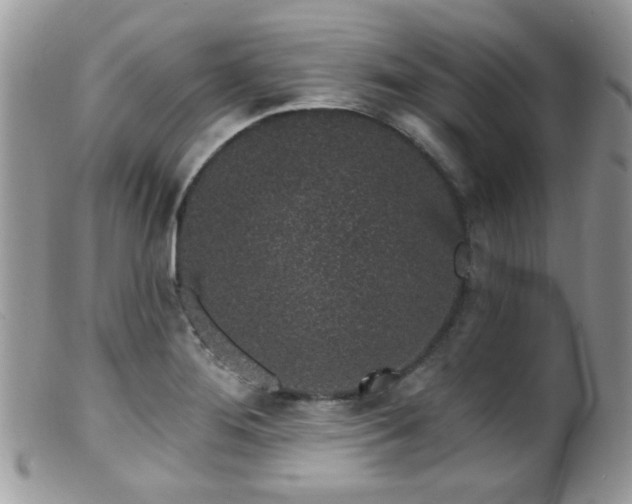 X0000099521276200805151515
