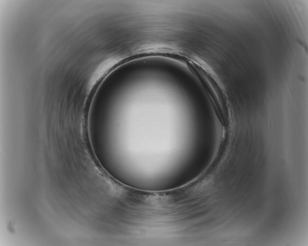 X0000099521277200805151515