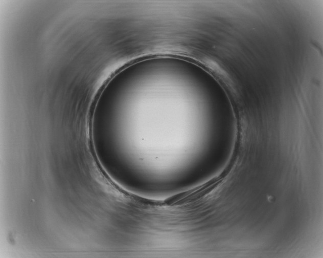 X0000099521280200805151515