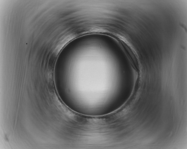 X0000099521281200805151515